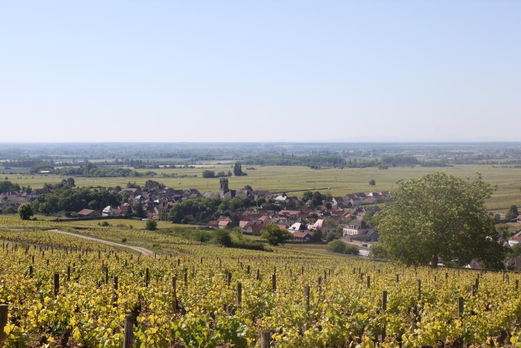 Ces Jours A Pommard Villa Rom bilde